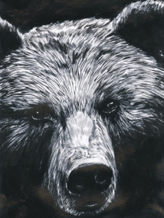 La Dernière Reine - Edition de luxe