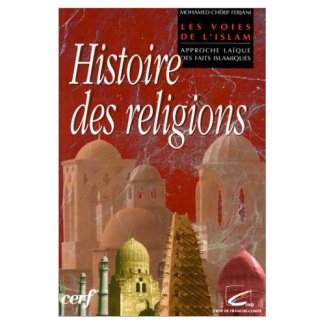 HISTOIRE DES RELIGIONS. Les voies de l'Islam, Approche laïque des faits islamiques