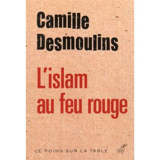 L'islam au feu rouge