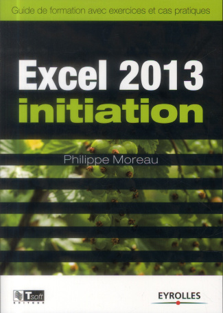 Excel 2013 initiation. Guide de formation avec exercices et cas pratiques