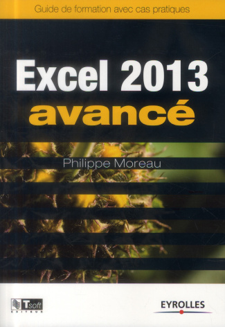 Excel 2013 avancé. Guide de formation avec cas pratiques