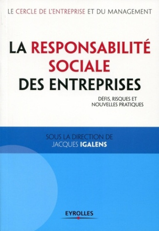 La responsabilité sociale des entreprises. Défis, risques et nouvelles pratiques