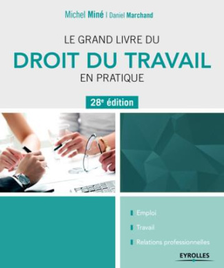 Le grand livre du droit du travail en pratique. 28e édition
