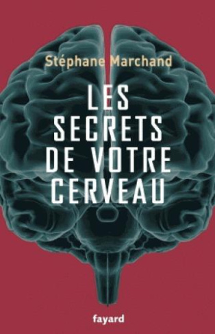 Les secrets de votre cerveau