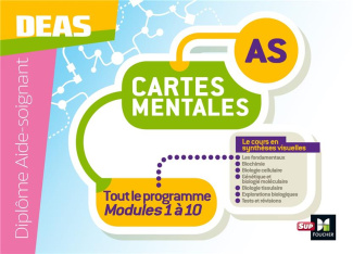 Cartes mentales DEAS Diplôme Aide-Soignant. Tout le programme Modules 1 à 10, Edition 2024