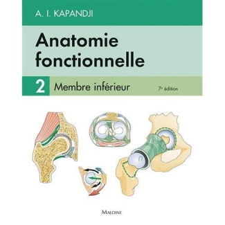 Anatomie fonctionnelle 2 Membre inférieur