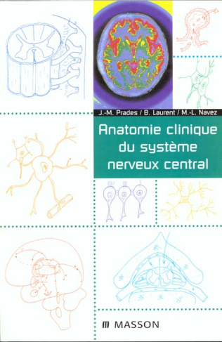 Anatomie clinique du système nerveux central