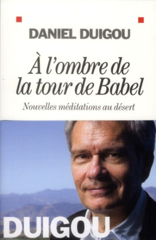 A l'ombre de la tour de Babel. Nouvelles méditations au désert