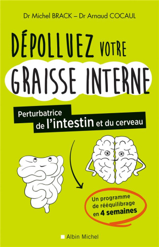 Dépolluez votre graisse interne. Pertubatrice de l'intestin et du cerveau