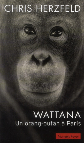 Wattana. Un orang-outan à Paris