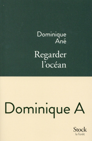 Regarder l'océan