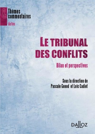 Le Tribunal des conflits. Bilan et perspectives