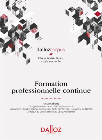 Formation professionnelle continue