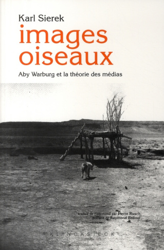 Images oiseaux. Aby Warburg et la théorie des médias