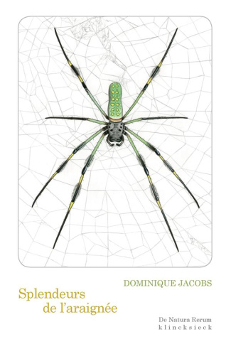 Splendeurs de l'araignée
