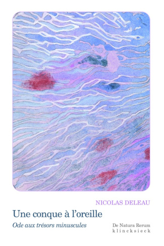 Une conque à l'oreille. Ode aux trésors minuscules