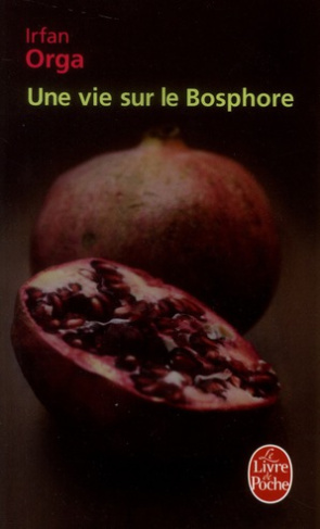 Une vie sur le Bosphore