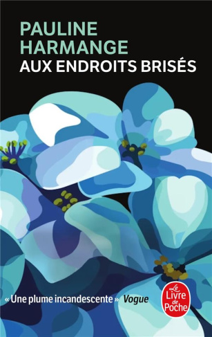 AUX ENDROITS BRISES