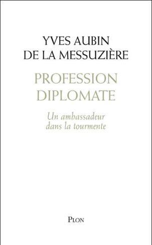 Profession diplomate. Un ambassadeur dans la tourmente
