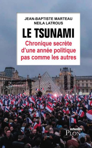 Le tsunami. Chronique secrète d'une année politique pas comme les autres