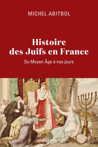 Histoire des Juifs en France. Du Moyen Age à nos jours