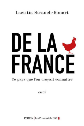 De la France. Ce pays que l'on croyait connaître