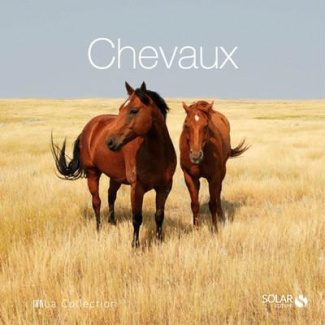 Chevaux