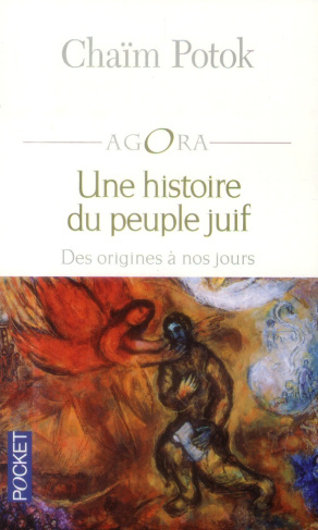 Une histoire du peuple juif. Des origines à nos jours