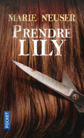 Prendre femme Tome 1 : Prendre Lily