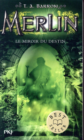 Merlin Tome 4 : Le miroir du destin
