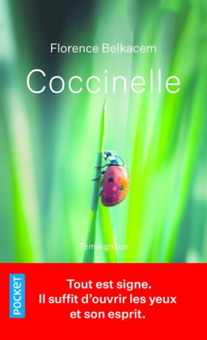 Coccinelle