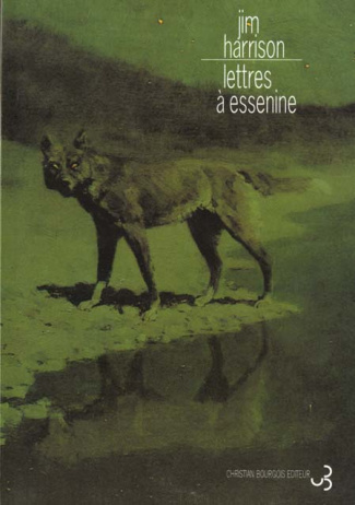 Lettres à Essenine. Edition bilingue français-anglais
