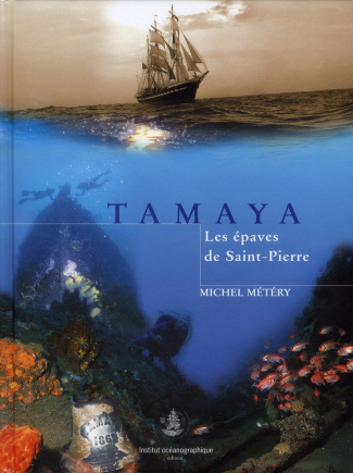 Tamaya. Les épaves de Saint-Pierre