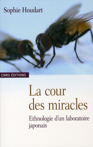 La cour des miracles. Ethnologie d'un laboratoire japonais