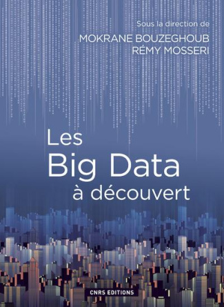 Les Big Data à découvert