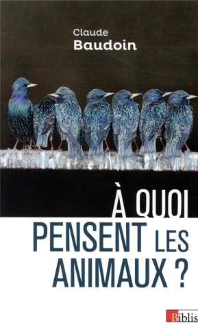 A quoi pensent les animaux ? Comportements, cognition, émotions