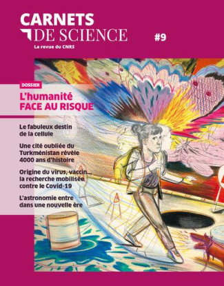 Carnets de science. La revue du CNRS N° 9 : L'humanité face au risque
