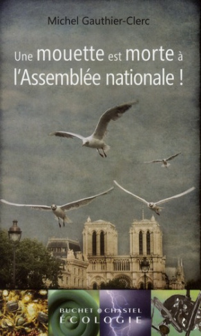UNE MOUETTE EST MORTE A L ASSEMBLEE NATIONALE