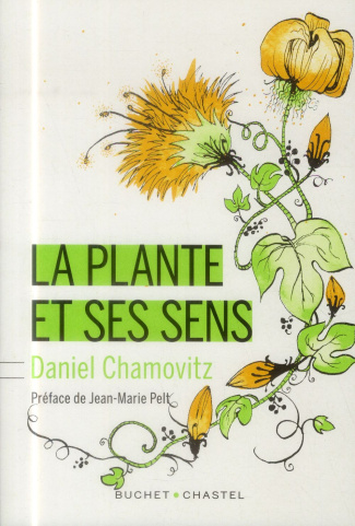 La plante et ses sens