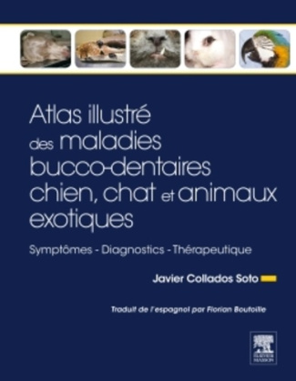 Atlas illustré des maladies bucco-dentaires chien, chat et animaux exotiques. Symptômes, diagnostics
