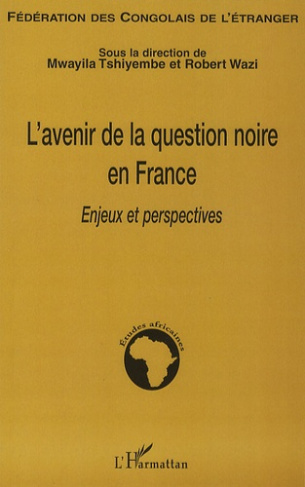 L'avenir de la question noire en France. Enjeux et perspectives