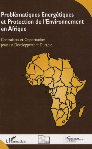 Problématiques énergétiques et protection de l'environnement en Afrique. Contraintes et opportunités