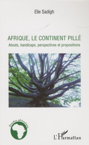 Afrique, le continent pillé. Atouts, handicaps, perspectives et propositions