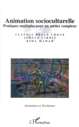 Animation socioculturelle. Pratiques multiples pour un métier complexe