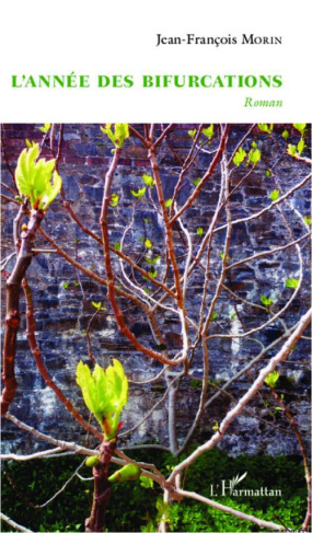 L'année des bifurcations. Roman