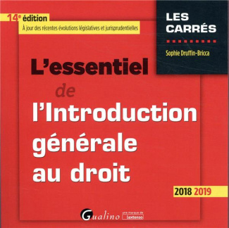 L'essentiel de l'introduction générale au droit