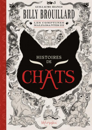 Billy Brouillard : Les comptines malfaisantes 3. Histoires de chats