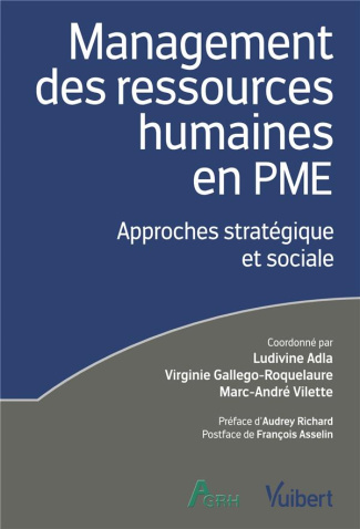 Management des ressources humaines en PME. Approches stratégique et sociale