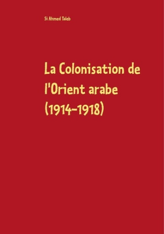La colonisation de l'orient arabe (1914-1918). Des accords Sykes-Picot à la Déclaration Balfour