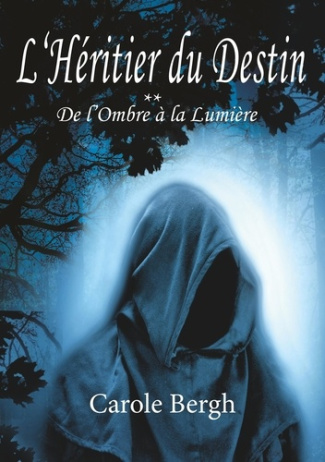 L'héritier du destin Tome 2 : De l'ombre à la lumière